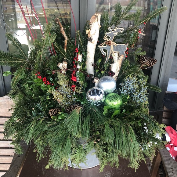 Meet your Posher, Gael - Picture 2 of 2